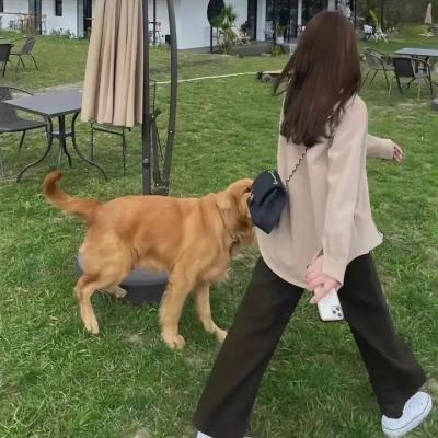 人生触礁时